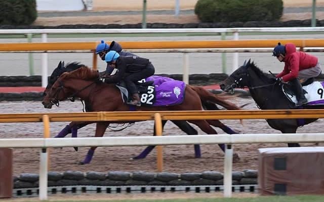 ストーンズなど、若駒S1週前追い切り速報/栗東トレセンニュース