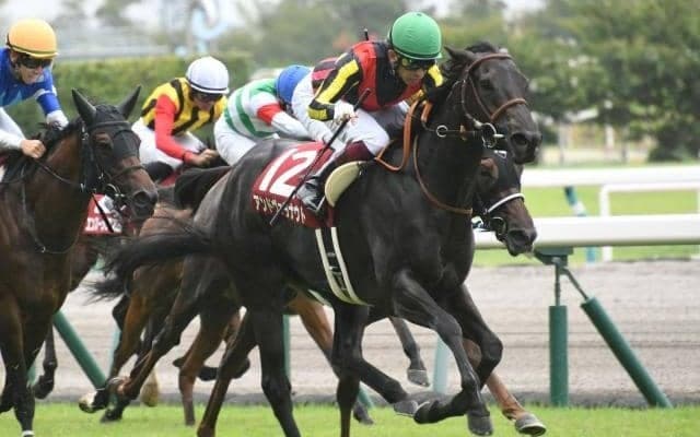 21年ローズS覇者アンドヴァラナウトが抹消 今後はノーザンファームで繁殖馬に