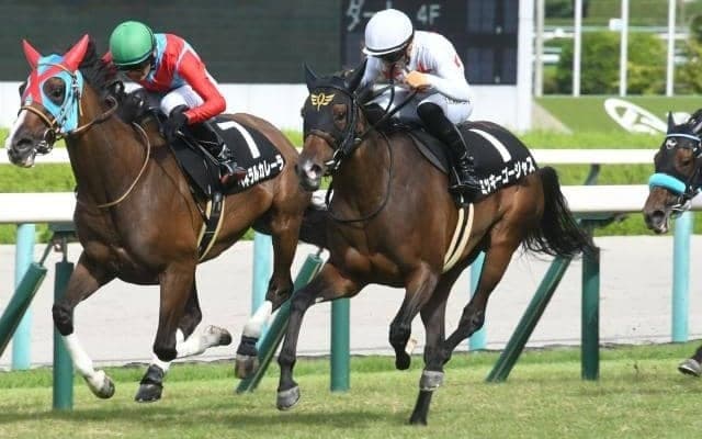 【愛知杯出走馬・騎手確定】ミッキーゴージャス＆川田将雅騎手、コスタボニータ＆鮫島克駿騎手など14頭