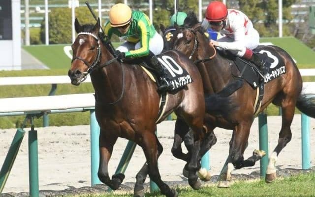 【日経新春杯出走馬・騎手確定】サトノグランツ＆川田将雅騎手、ハーツコンチェルト＆松山弘平騎手など14頭