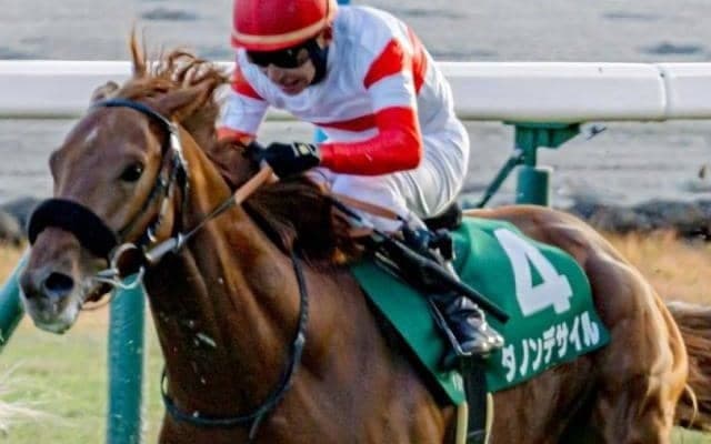 横山典弘騎手が京成杯14年ぶりVなるか セレクト1億円超えの良血馬と参戦