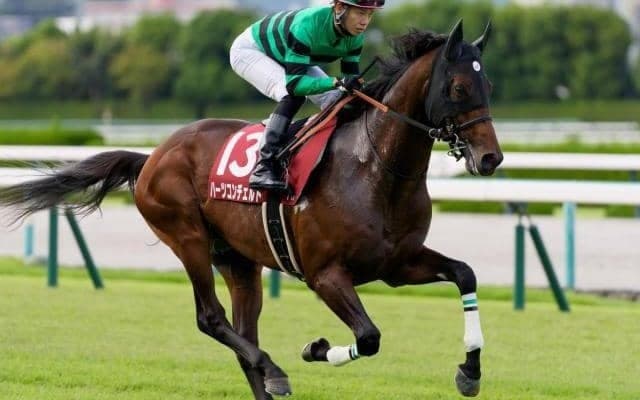 “最強の1勝馬”では終われない 日経新春杯で待望の重賞初Vだ