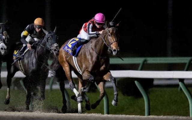 ヴァレーデラルナの競走馬登録抹消