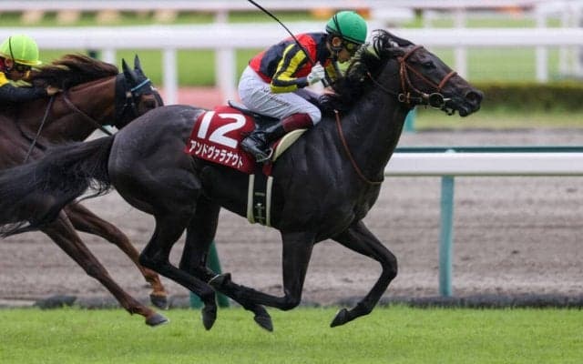 アンドヴァラナウトの競走馬登録抹消