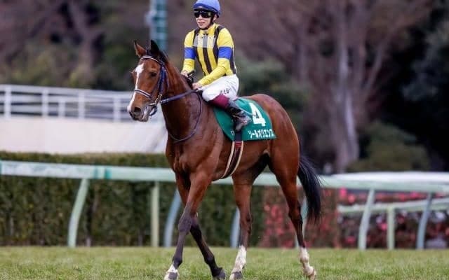 京成杯と弥生賞は似て非なるレース？ 共に中山芝2000mのクラシック前哨戦だが…