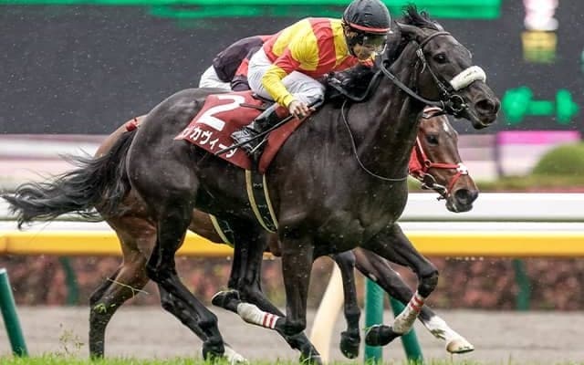 3年目佐々木大輔騎手の重賞初Vなるか 愛知杯でメンバー唯一の重賞ウイナーとタッグ