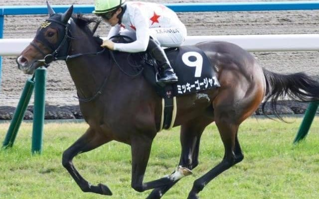 母はGI2勝のミッキークイーン 愛知杯で母仔2代重賞Vなるか