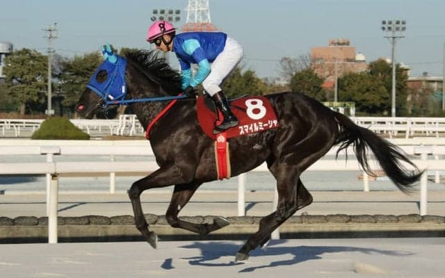 【園田・コウノトリ賞】断然人気スマイルミーシャが完勝…吉村「この馬のレース出来た」