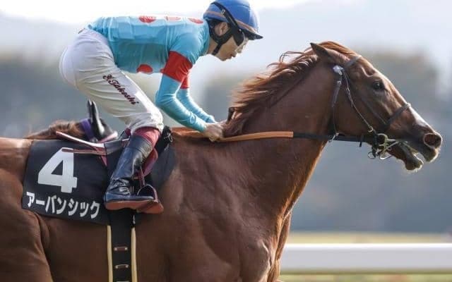 【京成杯枠順確定】アーバンシックは4枠6番、バードウォッチャーは2枠2番