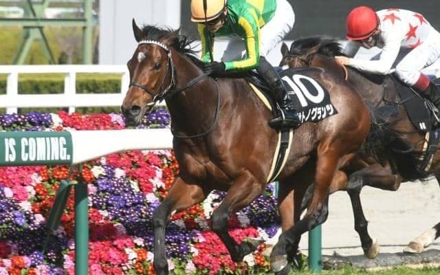 【日経新春杯枠順確定】サトノグランツは8枠14番、サヴォーナは8枠13番