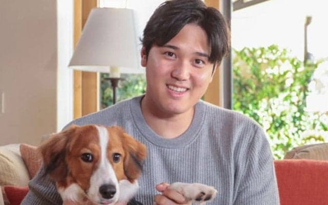 大谷翔平の愛犬は「国際的旅行者になるかも」　MLB公式まで注目した“VISA”贈呈