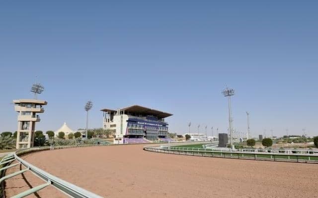 日本から延べ111頭の大挙登録 サウジカップデー諸競走の登録馬が発表