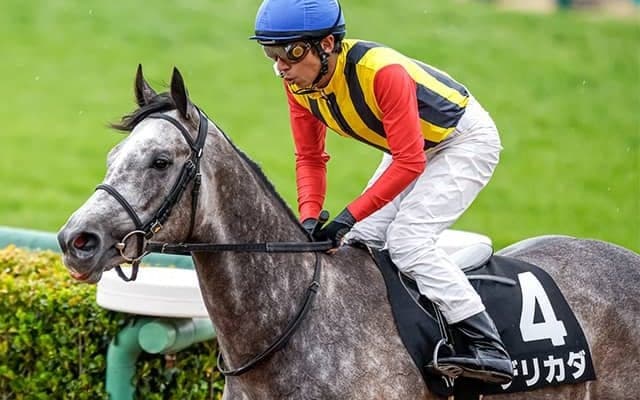 半姉はダート3戦無敗の大器 1億2000万円のエピファネイア産駒デビュー