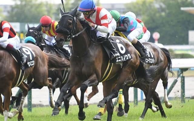 永島まなみ騎手がJRA重賞初制覇へ 愛知杯で波乱を呼ぶか