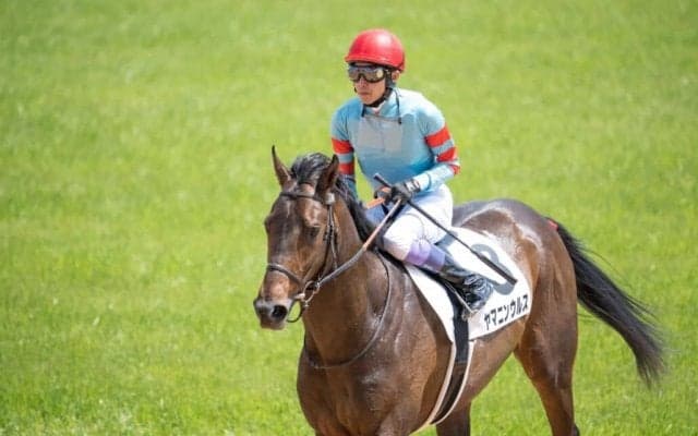 武豊騎手・今週の騎乗馬…無傷のヤマニンウルスが今年初戦