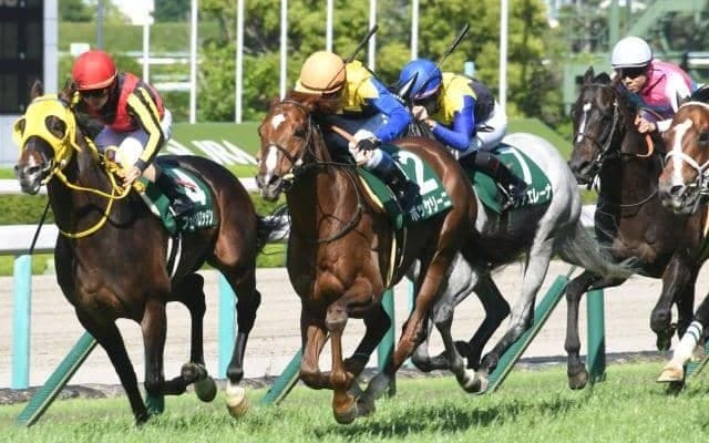 【AJCC想定馬・騎手】ボッケリーニ、マイネルウィルトスなど13頭