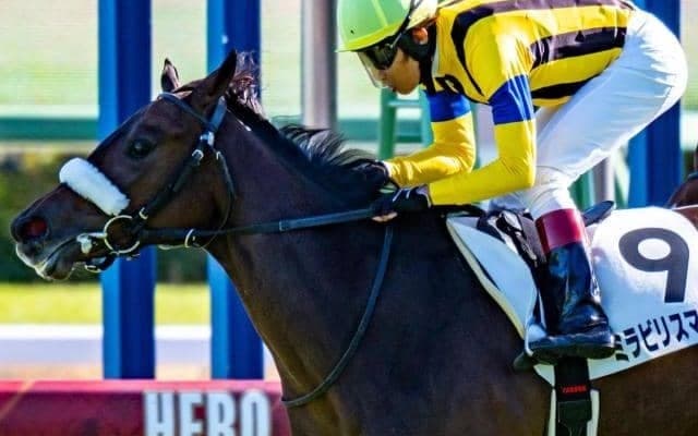 きょうだいに活躍馬がズラリと並ぶ超良血 先の大舞台に向けて菜の花賞で連勝狙う