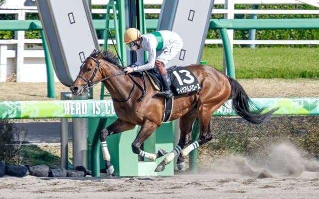 【東海S想定馬・騎手】ウィリアムバローズ、ヴィクティファルスなど17頭