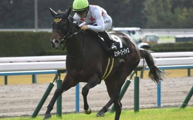 【今日の注目ポイント】小倉競馬が開幕！ 初日に牝馬のハンデ重賞・愛知杯