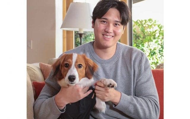 大谷翔平の愛犬、ついに米雑誌に“進出”　謎の暗号が話題「ジョークだらけ」
