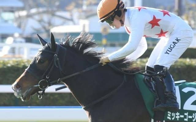 【愛知杯結果】ミッキーゴージャスが3連勝で重賞初制覇！