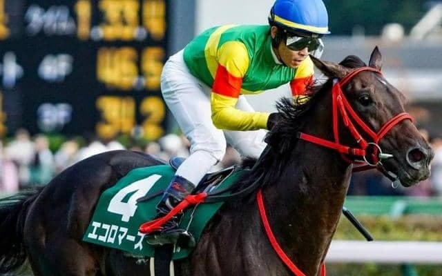 中山芝は内＆前有利 伏兵エコロマーズの粘り込みがあるぞ