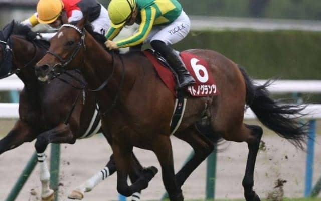 【日経新春杯予想】4年ぶりの京都開催 “淀の坂”をどう攻略するか