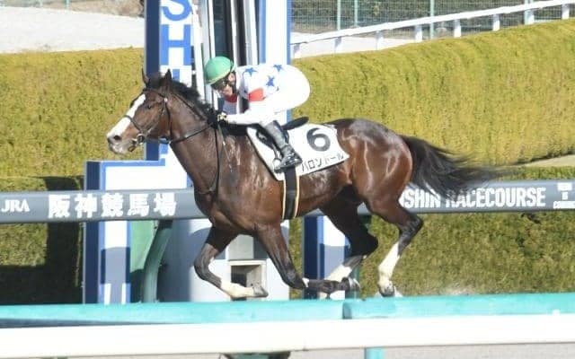 【船橋・ブルーバードC枠順】今年からダートグレード競走に格上げ 3歳ダート三冠への登竜門