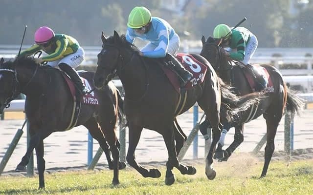 【日経新春杯結果】ブローザホーンが人気に応え重賞初制覇