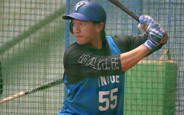 ドラ6逸材の衝撃スイング「弾道すごい」　独立HR王23歳は「ロマンしかない」