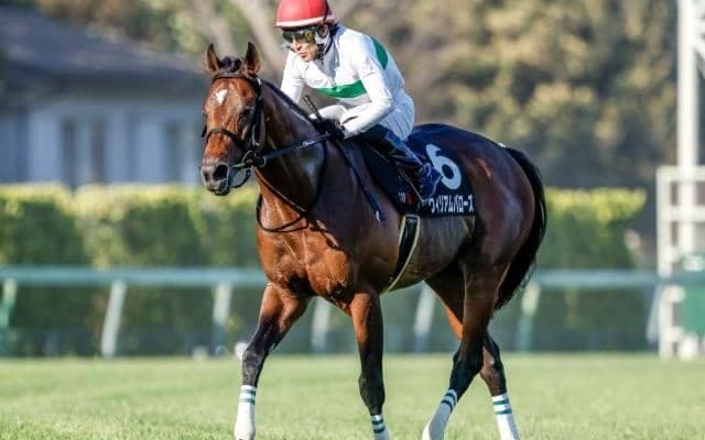 【東海S】ウィリアムバローズ、ヴィクティファルスらが登録