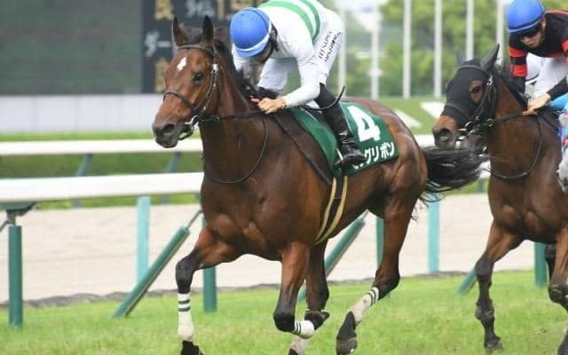 菊花賞馬キセキの全妹ビッグリボンが引退 下河辺牧場で繁殖入り
