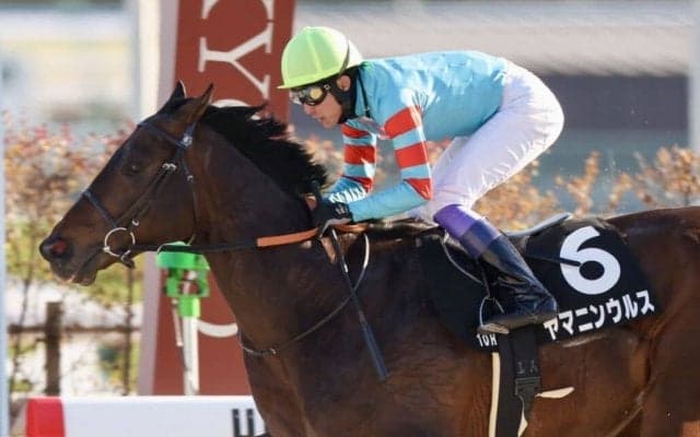 【雅S】武豊ヤマニンウルスが無傷の4連勝でオープン入り