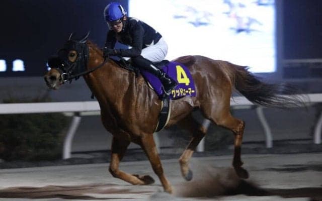 【高知・大高坂賞】グッドヒューマーが逃げ切る…宮川「10歳ですが素晴らしいスピード」