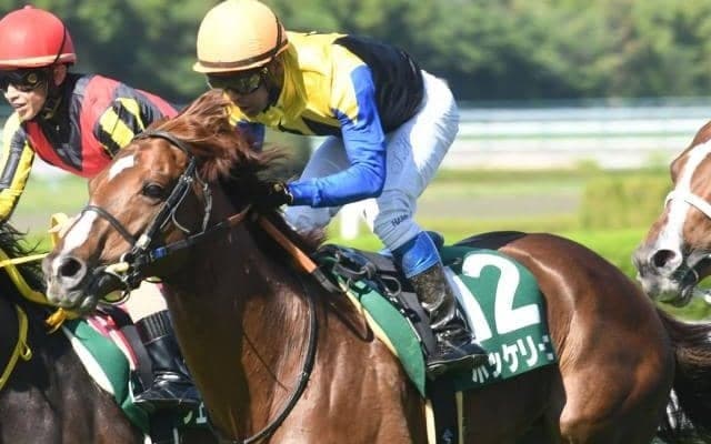 AJCC・東海Sの2重賞、地方ではブルーバードC/今週の競馬界の見どころ