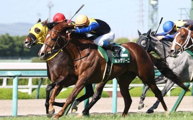 【AJCC登録馬】ボッケリーニなど13頭