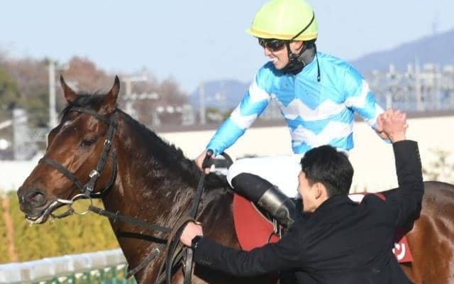 【日経新春杯】売上は70億658万3100円で昨年より約1億円減少