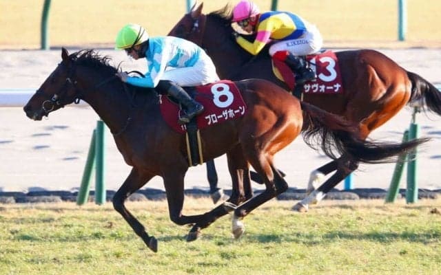 【日経新春杯】ブローザホーンが重賞初制覇