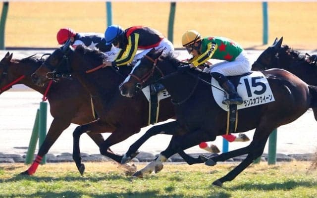 【新馬/京都5R】良血ミエスペランサが接戦を制する