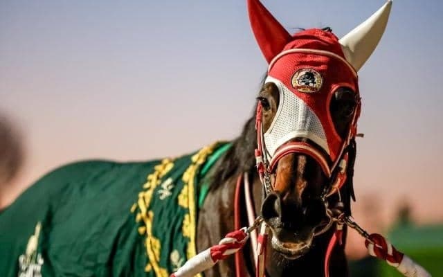 【先週のJRA抹消馬】大逃げ戦法で世界のビッグレースを制したパンサラッサ、22年のJBCレディスCを勝利したヴァレーデラルナなど