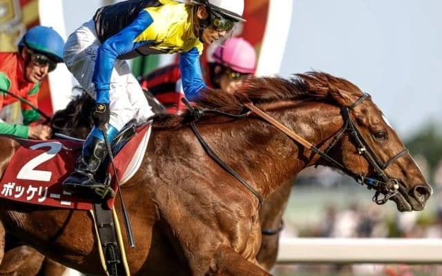 【AI予想・AJCC】特殊な条件下で行われる伝統の一戦！ 中山芝2200mに十分な適性を感じる本命候補