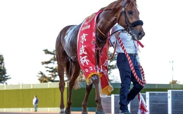 エピファネイア産駒の中では“異質”なダノンデサイル 京成杯で生きた血統的な特徴とは