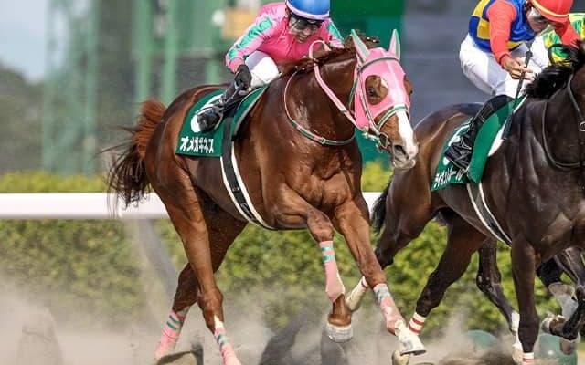 【東海S想定騎手】オメガギネスは戸崎圭太騎手、ブライアンセンスは岩田望来騎手