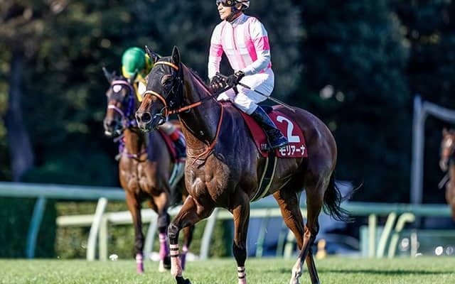 【AJCC想定騎手】モリアーナは横山典弘騎手、ボッケリーニは浜中俊騎手