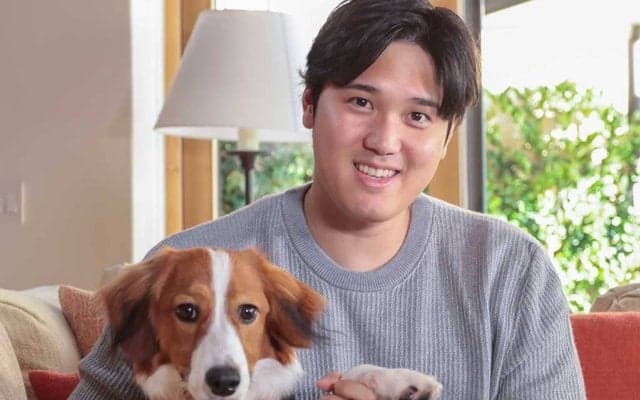 【MLB】大谷翔平の愛犬デコピンの「やってしまった顔」が話題　Xで再び“トレンド入り”「この表情にジワる」