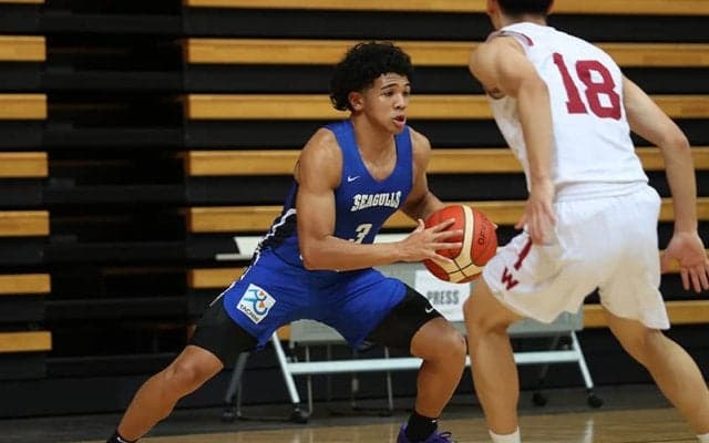 東海大PGが特別指定でSR渋谷に加入…琉球、群馬に続き3度目の“Bリーグ入り”