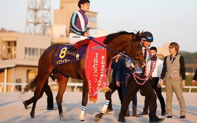 地方年度代表馬は2年連続でイグナイター 「NARグランプリ2023」の表彰馬が決定