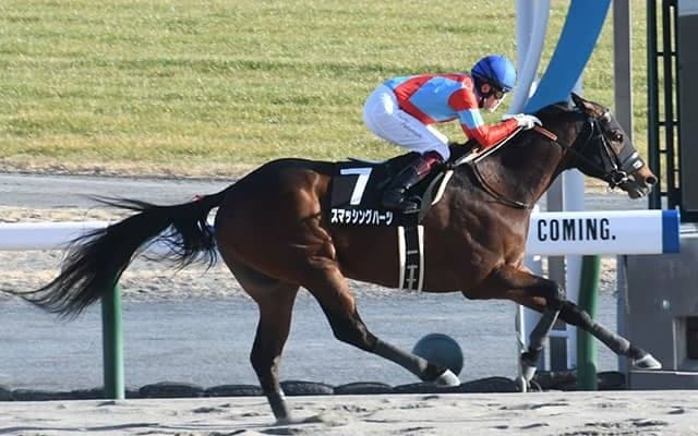 武豊騎手3度目の東海S勝利なるか 2年3か月ぶりタッグの伏兵で一発狙う