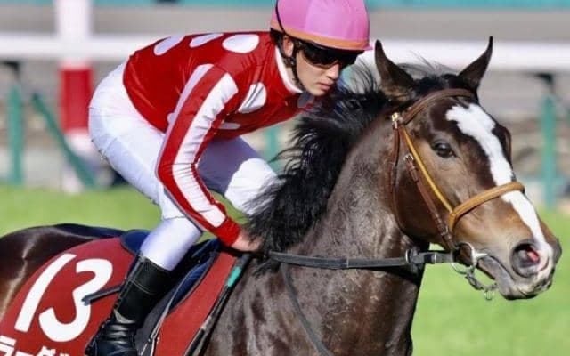 重賞勝ち＆GI・3着の実績 中山巧者がAJCCで2つ目のタイトルへ