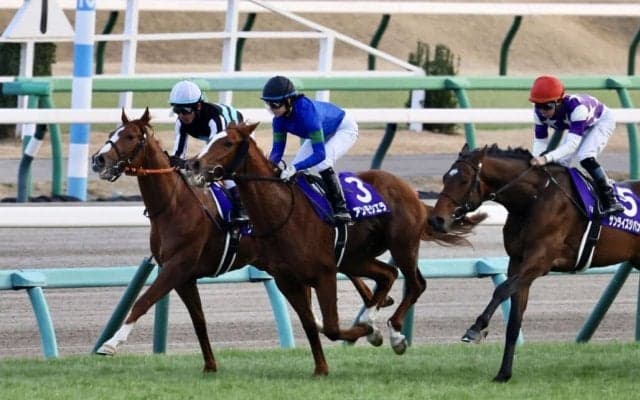 【船橋・ブルーバードC】3歳ダート三冠競走のステップレース